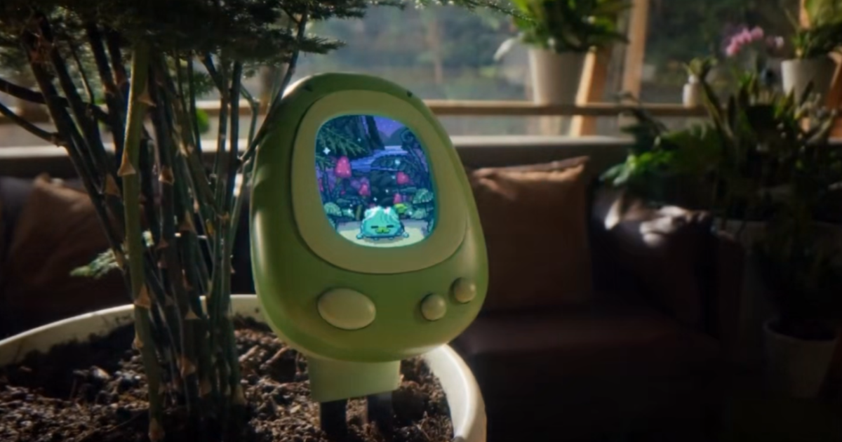 PlantSenso de SoildTech, compagnon connecté gamifié pour l’entretien des plantes